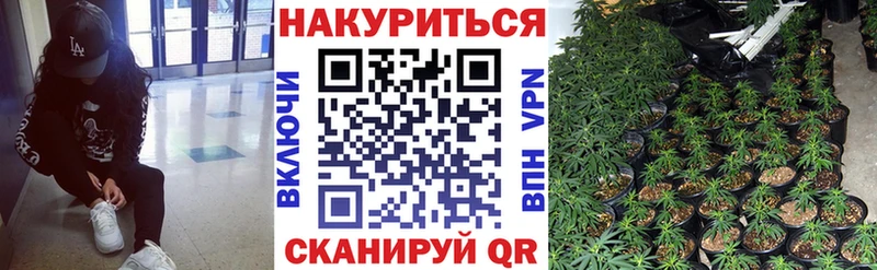 Купить наркотики сайты Новоалтайск Alpha PVP Бутират Мефедрон