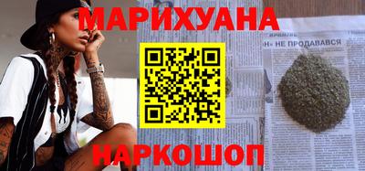 сатива Гай