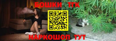 сатива Гай