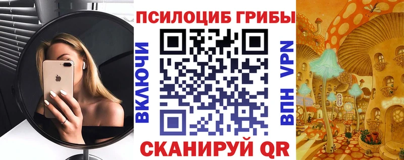 сайты даркнета официальный сайт  Новоалтайск  Псилоцибиновые грибы Psilocybine cubensis  купить  цена 