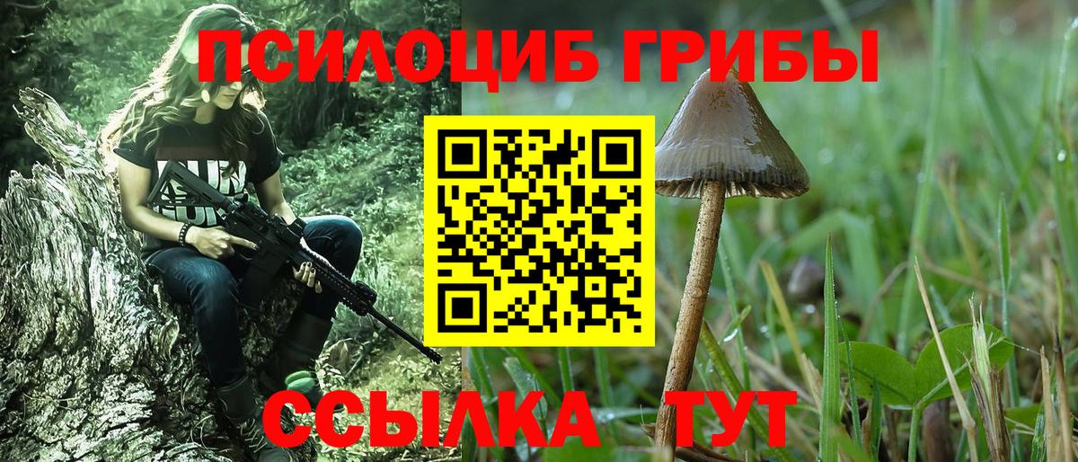 Псилоцибиновые грибы прущие грибы Новоалтайск